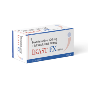 Ikast FX